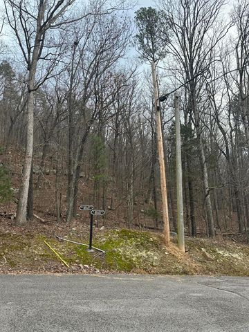 Lot 13 Bluffs North Road 13, South Pittsburg, TN 37380