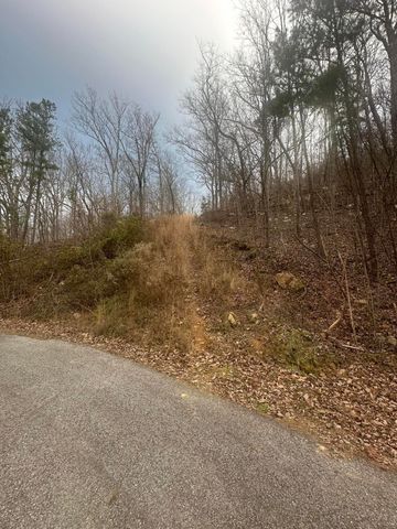 Lot 13 Bluffs North Road 13, South Pittsburg, TN 37380