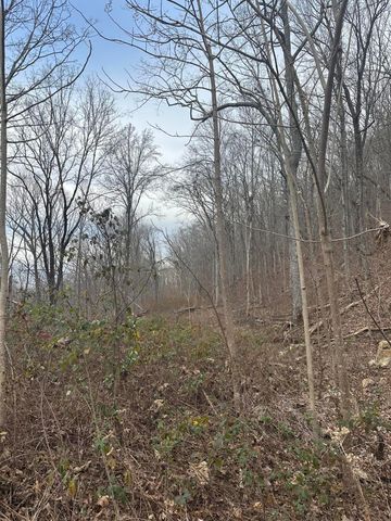 Lot 13 Bluffs North Road 13, South Pittsburg, TN 37380
