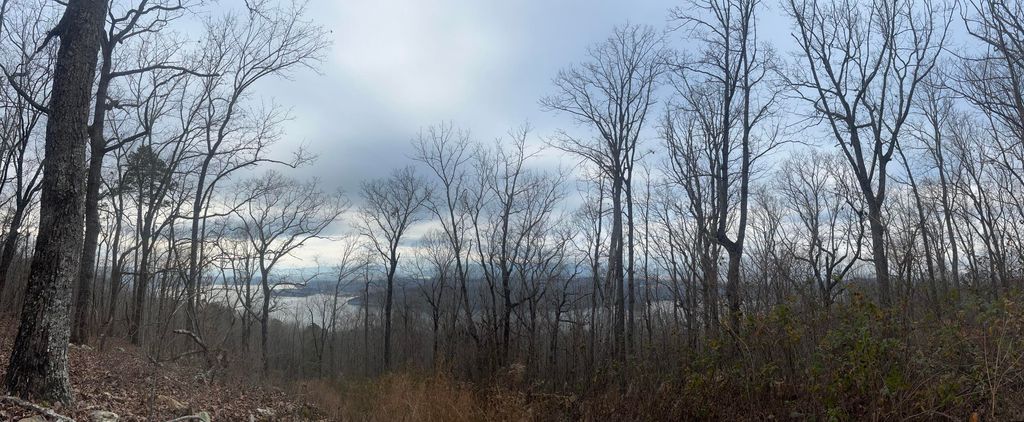 Lot 13 Bluffs North Road 13, South Pittsburg, TN 37380