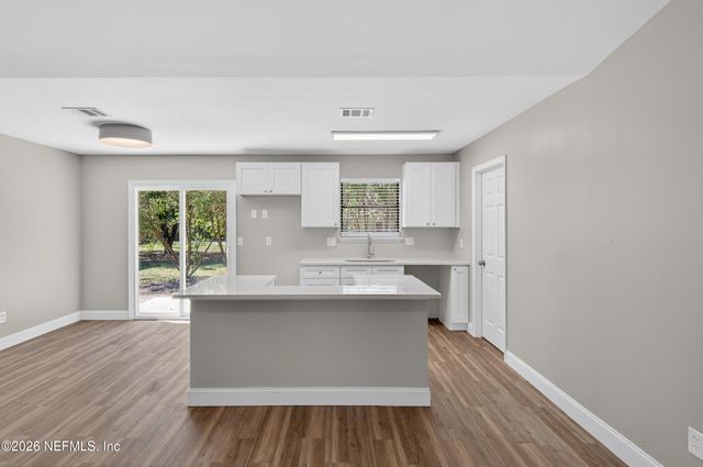 2540 SORGHUM Avenue, Middleburg, FL 32068