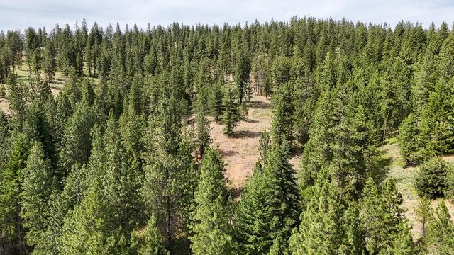 5426C Peggy Way, Deer Park, WA 99006