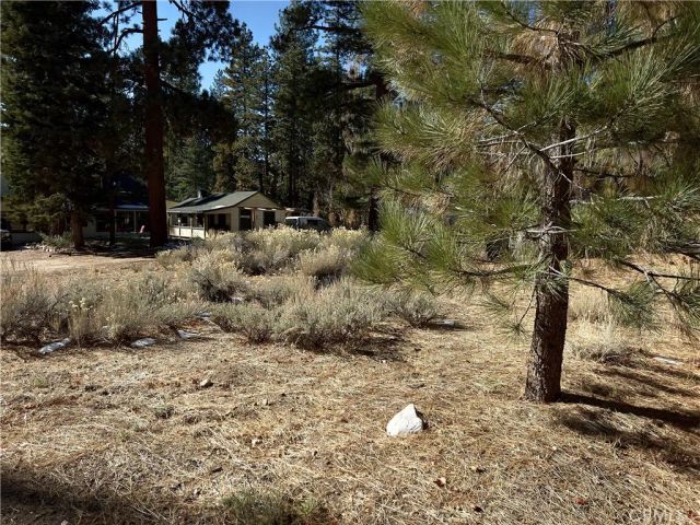 0 Canyon, Fawnskin, CA 92333