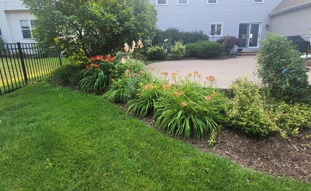 743 Chasewood Drive, South Elgin, IL 60177