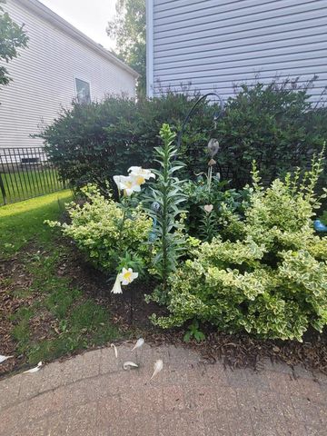 743 Chasewood Drive, South Elgin, IL 60177