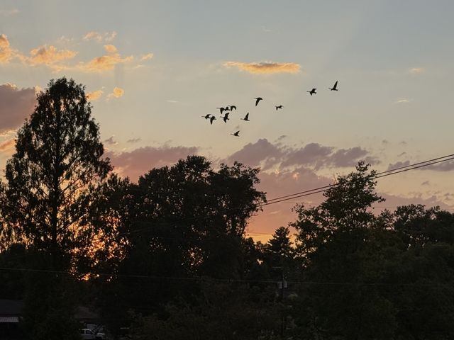 1011 Lakeshore Dr, Gallatin, TN 37066