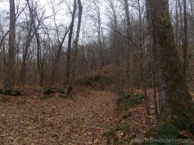 465030 McSpadden Ridge Road, Proctor, OK 74457