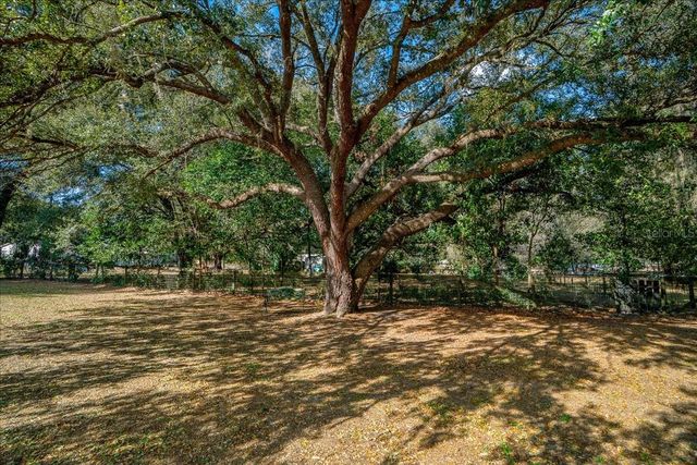 13181 NE 39TH TERRACE, Anthony, FL 32617