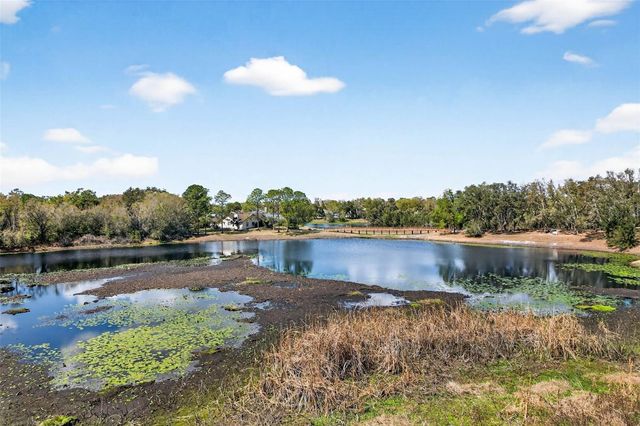 16330 HANNA ROAD, Lutz, FL 33549