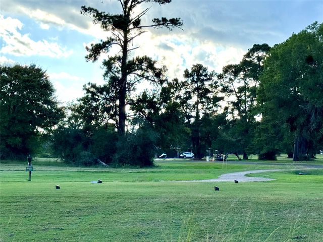 20 Shallow Springs, Trinity, TX 75862