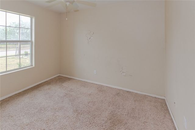 9002 Caroline, Corpus Christi, TX 78409