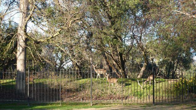 1729 Le Bec Ct, Lodi, CA 95240