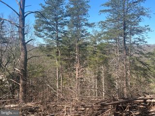 ANDREWS RD, Strasburg, VA 22657