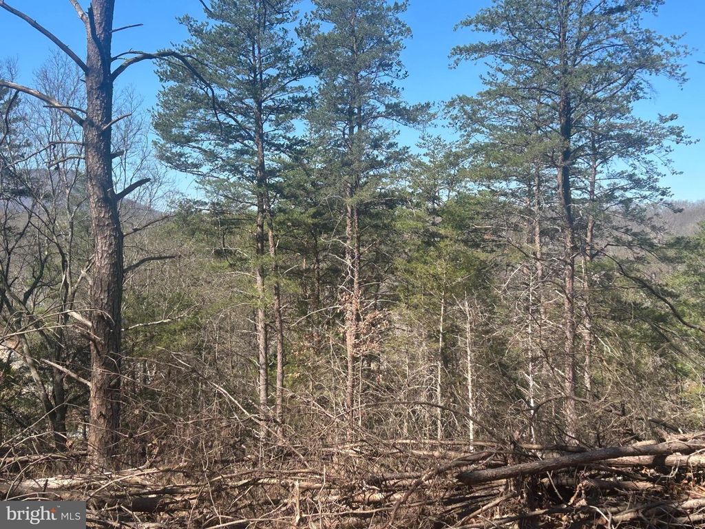 ANDREWS RD, Strasburg, VA 22657