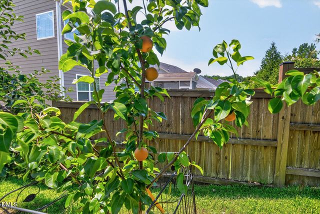 114 Shadow Hawk Drive, Durham, NC 27713