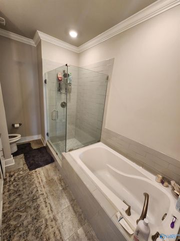 197 Saint Louis Street, Madison, AL 35758