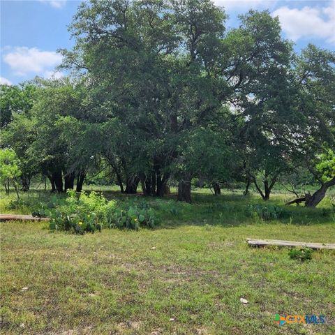 TBD FM 2313, Kempner, TX 76539