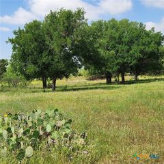TBD FM 2313, Kempner, TX 76539