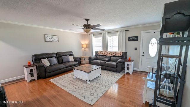 858 Seed Tick Rd, Philadelphia, TN 37846