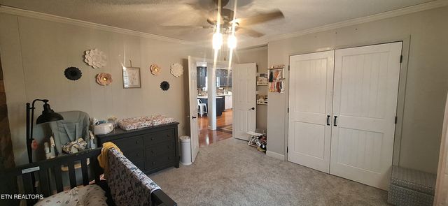 858 Seed Tick Rd, Philadelphia, TN 37846