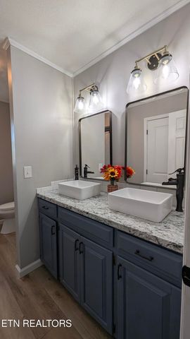 858 Seed Tick Rd, Philadelphia, TN 37846