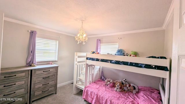 858 Seed Tick Rd, Philadelphia, TN 37846