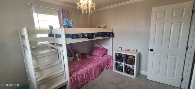 858 Seed Tick Rd, Philadelphia, TN 37846