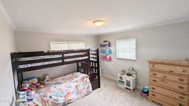 858 Seed Tick Rd, Philadelphia, TN 37846