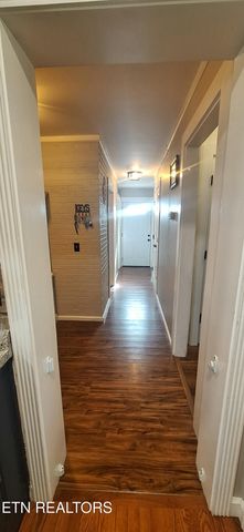 858 Seed Tick Rd, Philadelphia, TN 37846