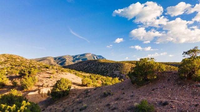 Loma Chata Road, Placitas, NM 87043