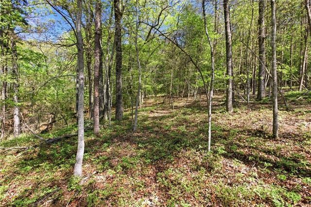 1655 Pardue Mill Road, Demorest, GA 30535