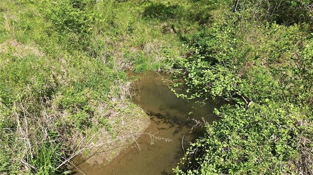 1655 Pardue Mill Road, Demorest, GA 30535