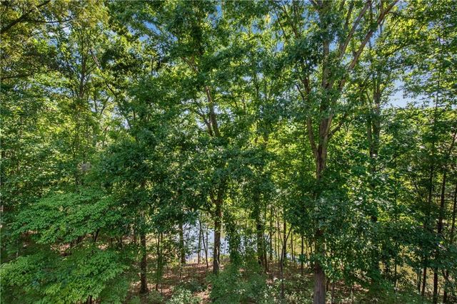 1300 Soap Creek Road, Ball Ground, GA 30107
