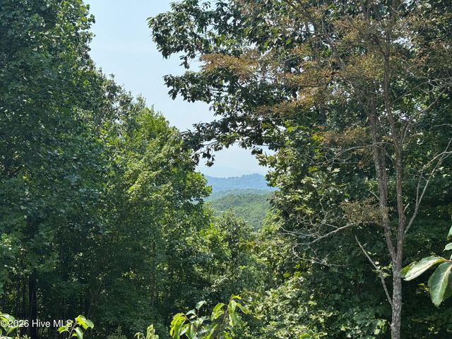 33 Great Sky Trail, Murphy, NC 28906