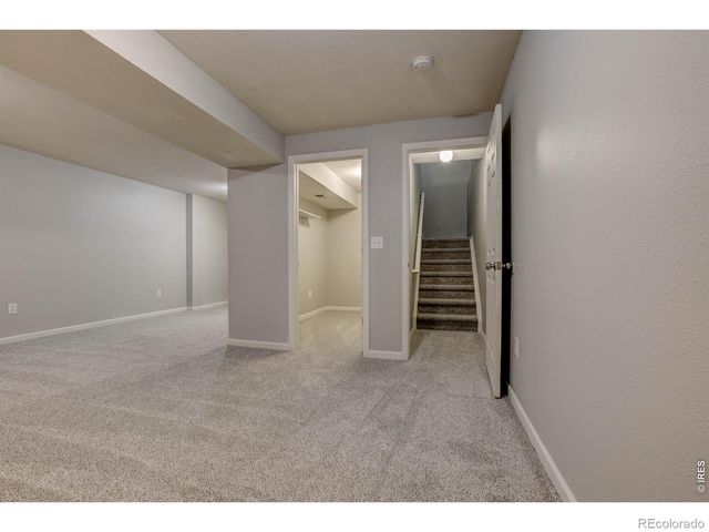 725 Columbine Drive, Windsor, CO 80550