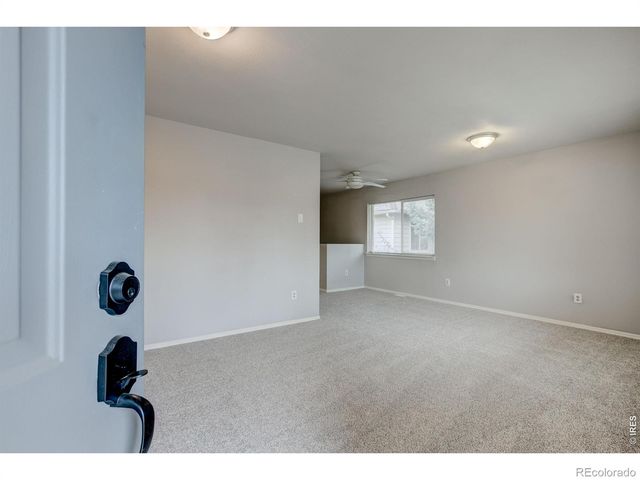 725 Columbine Drive, Windsor, CO 80550