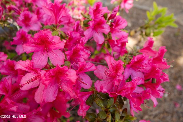 142 Corncake Circle, Morehead City, NC 28557