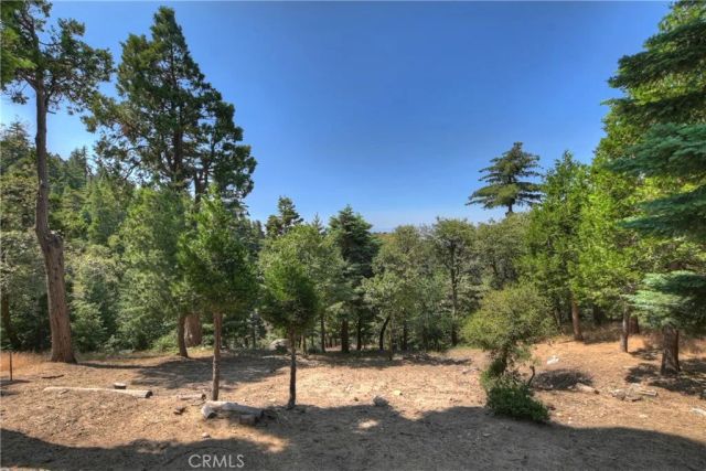 1040 Mile High Road, Twin Peaks, CA 92391