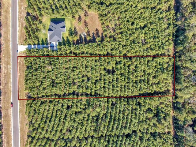 12007 High Branch Way, Willis, TX 77378