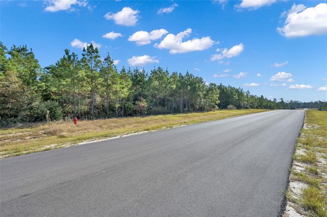 12007 High Branch Way, Willis, TX 77378