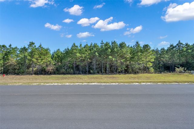 12007 High Branch Way, Willis, TX 77378