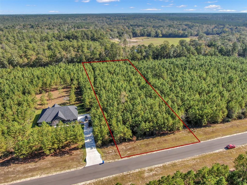 12007 High Branch Way, Willis, TX 77378