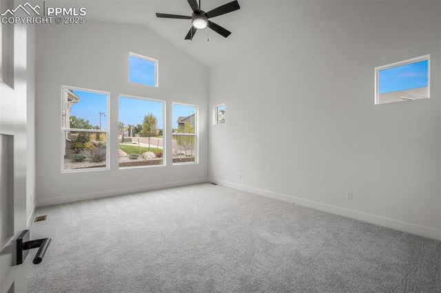 17209 Alsike Clover Court, Monument, CO 80132