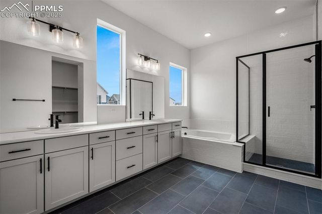 17209 Alsike Clover Court, Monument, CO 80132