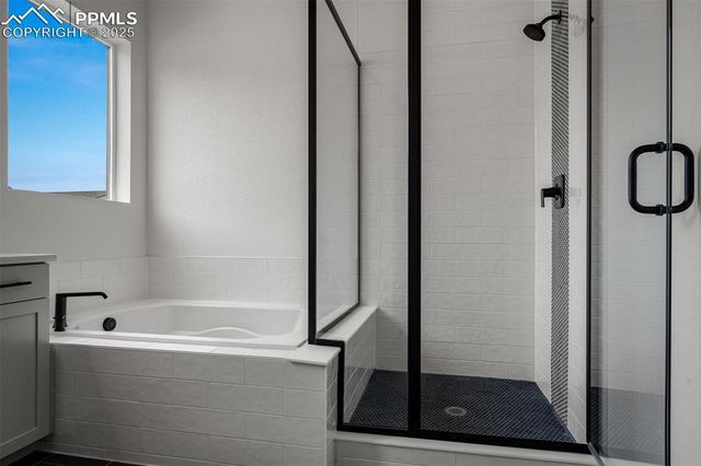 17209 Alsike Clover Court, Monument, CO 80132