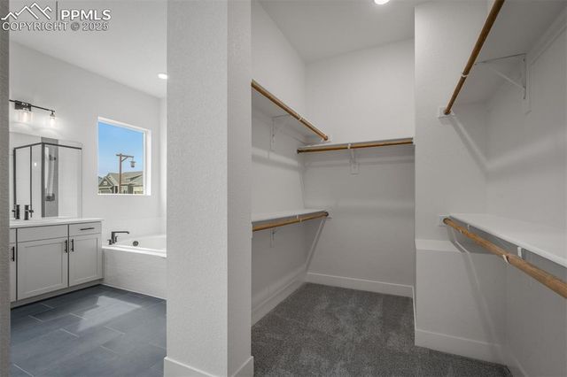 17209 Alsike Clover Court, Monument, CO 80132