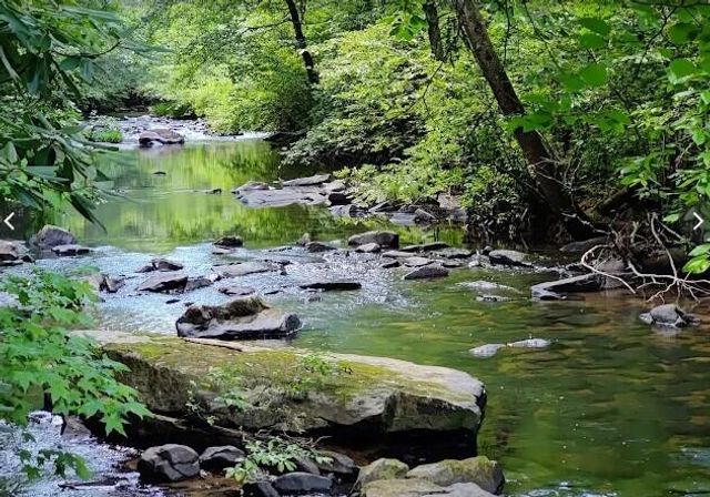 106-B Founding Way 28, Lookout Mountain, GA 30750