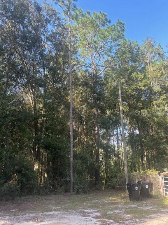 000 STARDUST LANE, Melrose, FL 32666