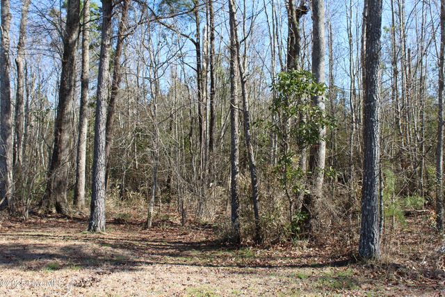 315 Newberry Landing, Roper, NC 27970