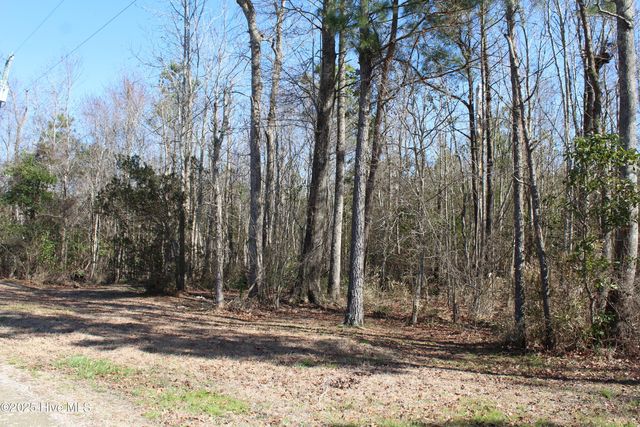 315 Newberry Landing, Roper, NC 27970